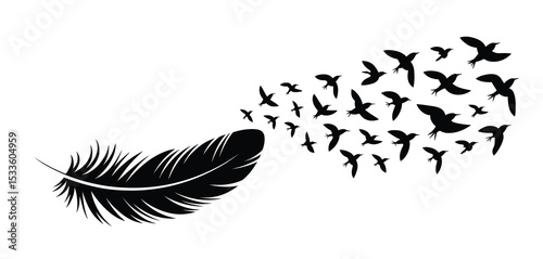 Black feather and birds taking flight illustration