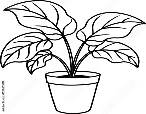 House plant line art silhouette vector illustration
