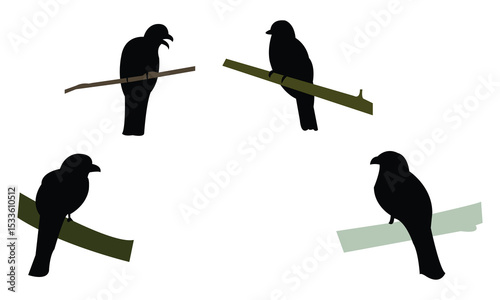 Amazonian trogon bird Silhouette Design  And Vector Illustration. 
