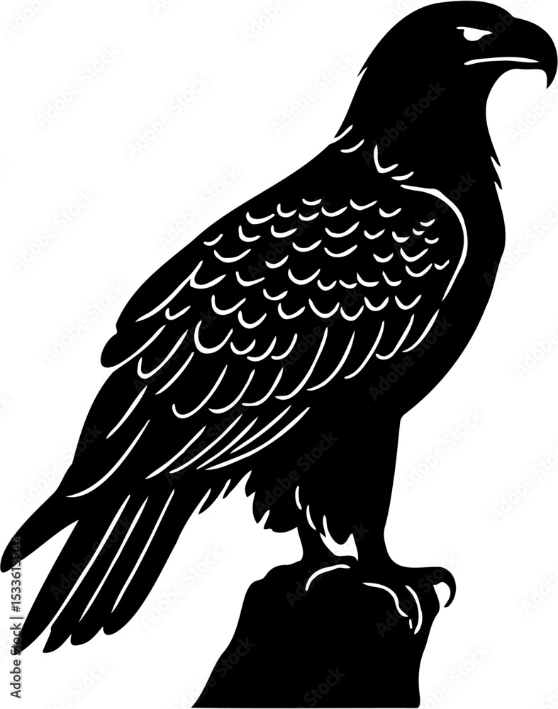 Fototapeta premium vector illustration silhouette of an eagle, isolated on white