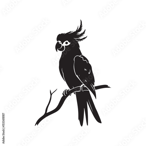 Parrot vector silhouette, Cute Parrot sitting on a tree branch Vector illustration isolated on white background, black silhouette icon vector, Parrot logo design, macaw logo icon design template