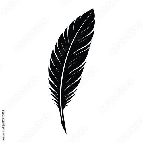 feather isolated on white background