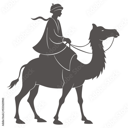 Man riding camel silhouette