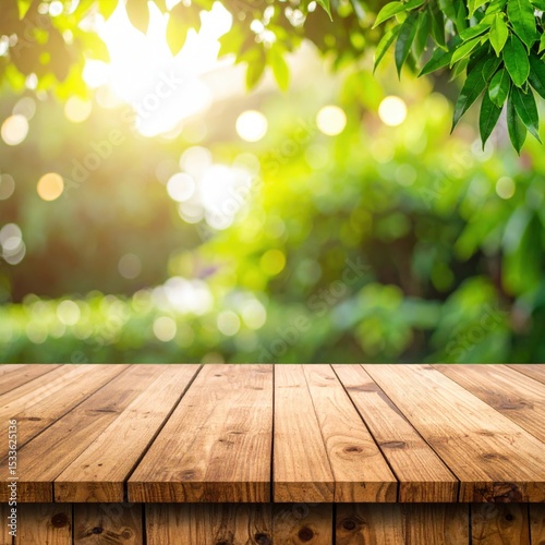 Serene nature scene outdoor garden photographic view lush greenery sunlight reflection for relaxation