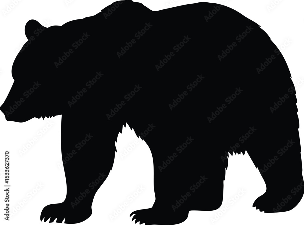 Fototapeta premium Bear silhouette, walking pose, wildlife vector