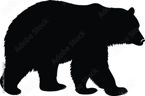 Bear silhouette, walking pose, wildlife vector