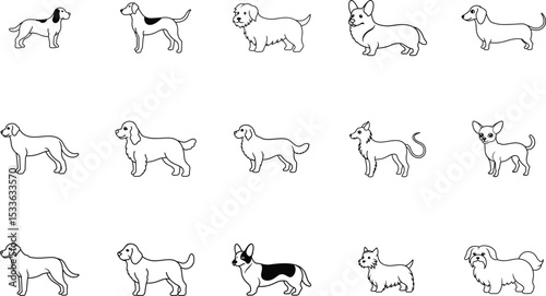 Various elegant dog breeds illustrated in clean outlines Line Art Vector illustration
