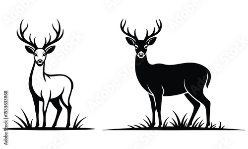 silhouette of deer