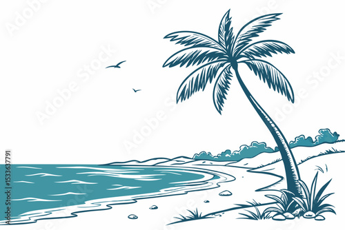 palm trees on the beach