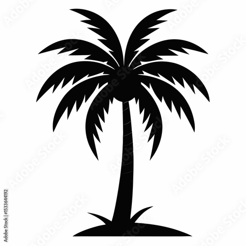 palm tree silhouette