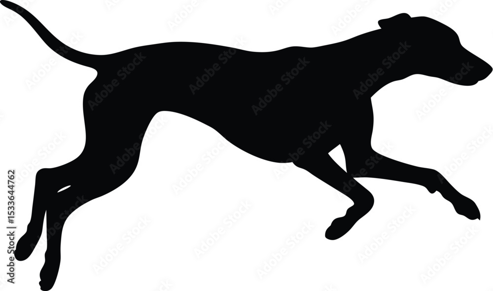 Fototapeta premium dog silhouette, running posture, black vector
