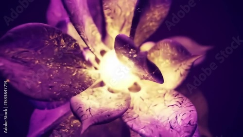 Close-Up of Floating Fractal Petals Orbiting a Glowing Core in Violet and Gold Hypnotic