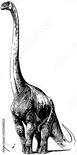 Long neck dinosaur silhouette