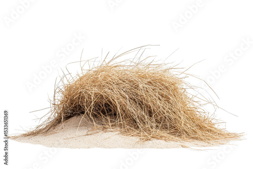 Tumbleweed rolls across the open desert landscape under the bright sun showcasing its natural movement and the arid environment