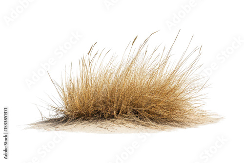 Tumbleweed rolls across an expansive desert landscape under a clear blue sky during a sunny afternoon