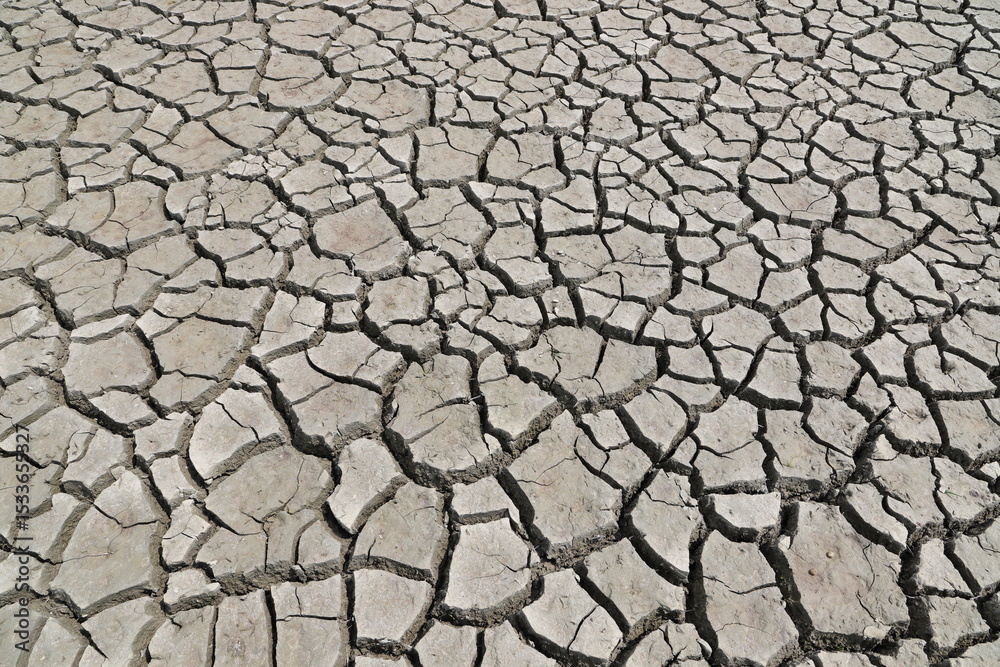 a dried-up river, cracked ground a dried-up river, cracked ground
