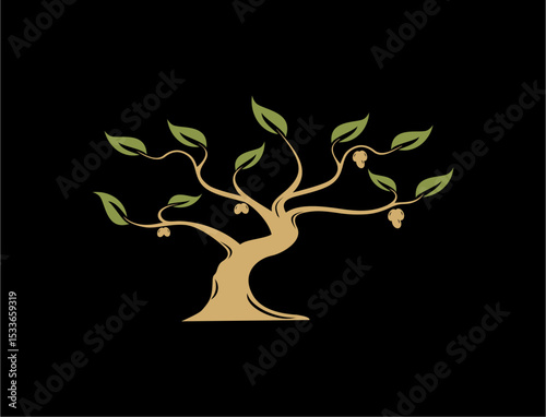 Olive tree illustration