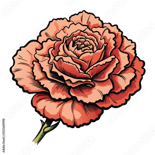 Intricate detailed study of a carnation's ruffled edges, emphasizing its unique petals.