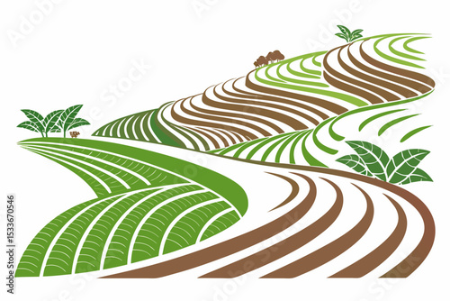 Create a bold, vector illustration of vibrant green rice terraces, showcasing intricate contours and dramatic shadows.  High detail, clean lines.