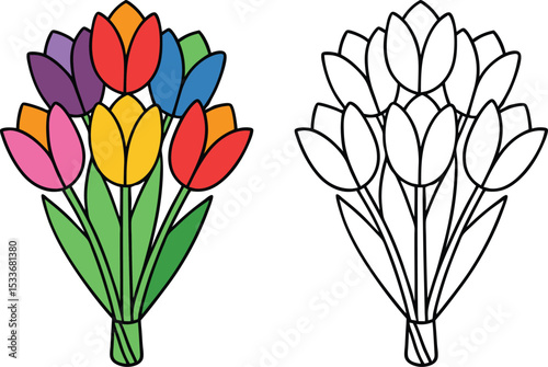 Colorful Tulip Bouquet Vector Illustration with Outline Version tulips flowers