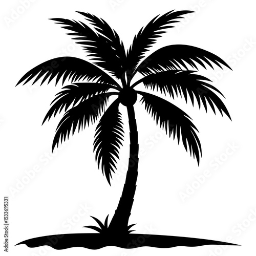 silhouette of palm trees