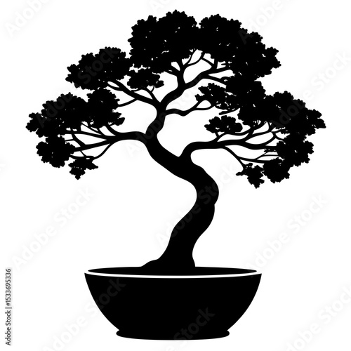 bonsai tree on white background