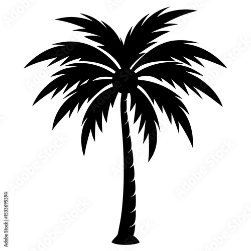 palm tree silhouette on white background