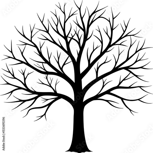 tree without leaves
