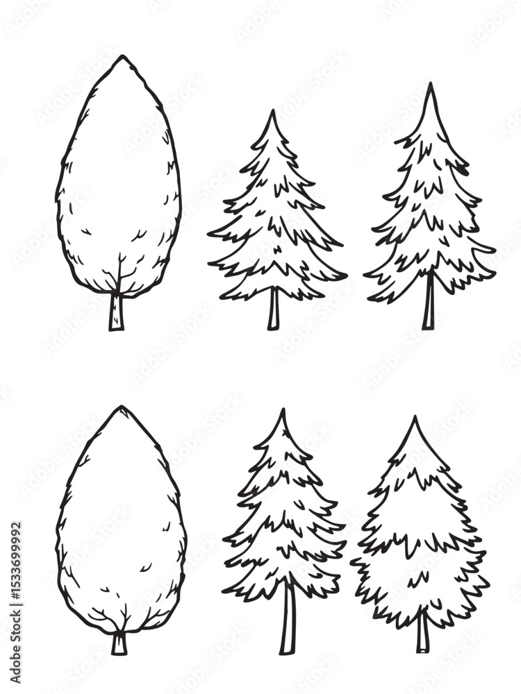 foret sapin vert couleur ovale plant .eps