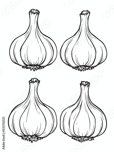 garlic .eps