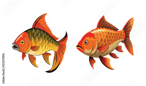 Two orange koi fish illustration design