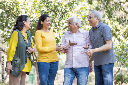 Group of indian senior male and woman friends At park