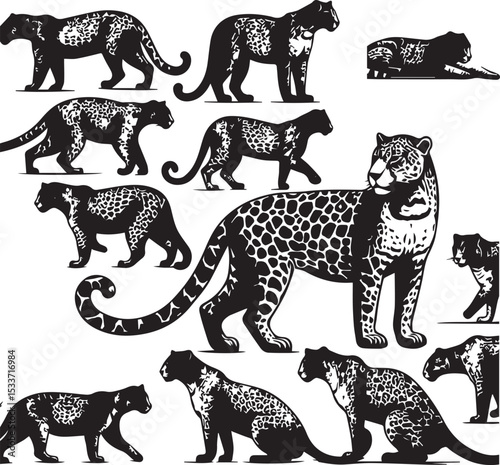 Black and White Jaguar Vector Illustration – Minimalist Wild Cat Silhouette Art