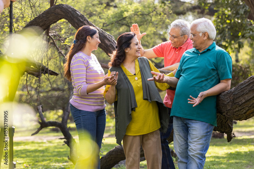 Group of indian senior male and woman friends At park 