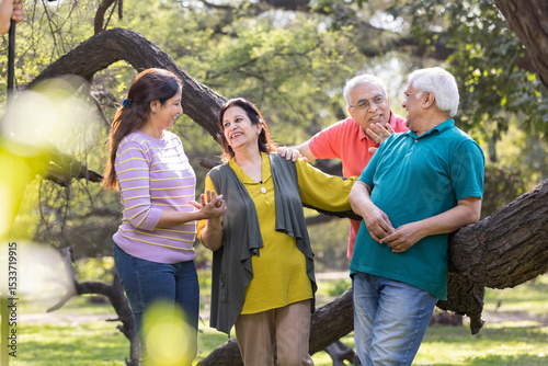 Group of indian senior male and woman friends At park 