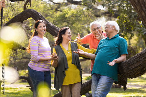 Group of indian senior male and woman friends At park 