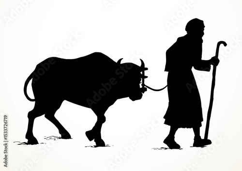Vector drawing. A man leads an ox