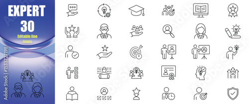 expert icons set vector