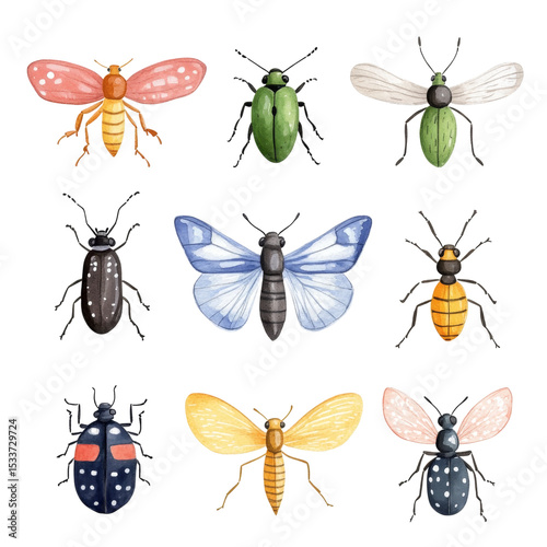 Colorful insects in detailed arrangement, showcasing various species and vibrant hues