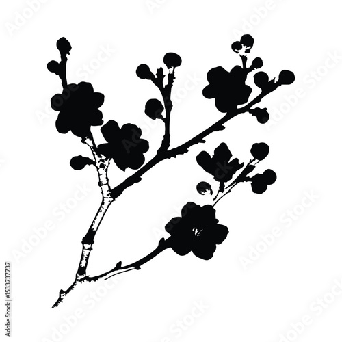 Floral blossom spring branch botanical bloom flower cherry tree sakura art ink drawing black white silhouette illustration vector illustration