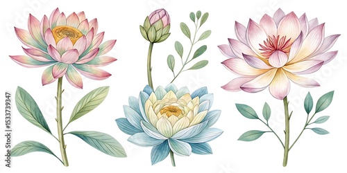 Set of beautiful flower, Watercolor collection of hand drawn flowers, Botanical plant illustration