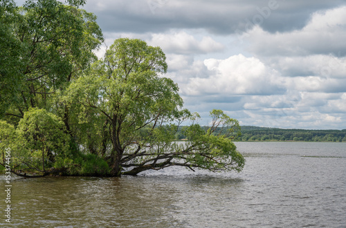 Summer landscape with lake shore. Natural aerial background.	