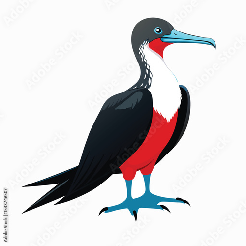 vector illustration of a bird