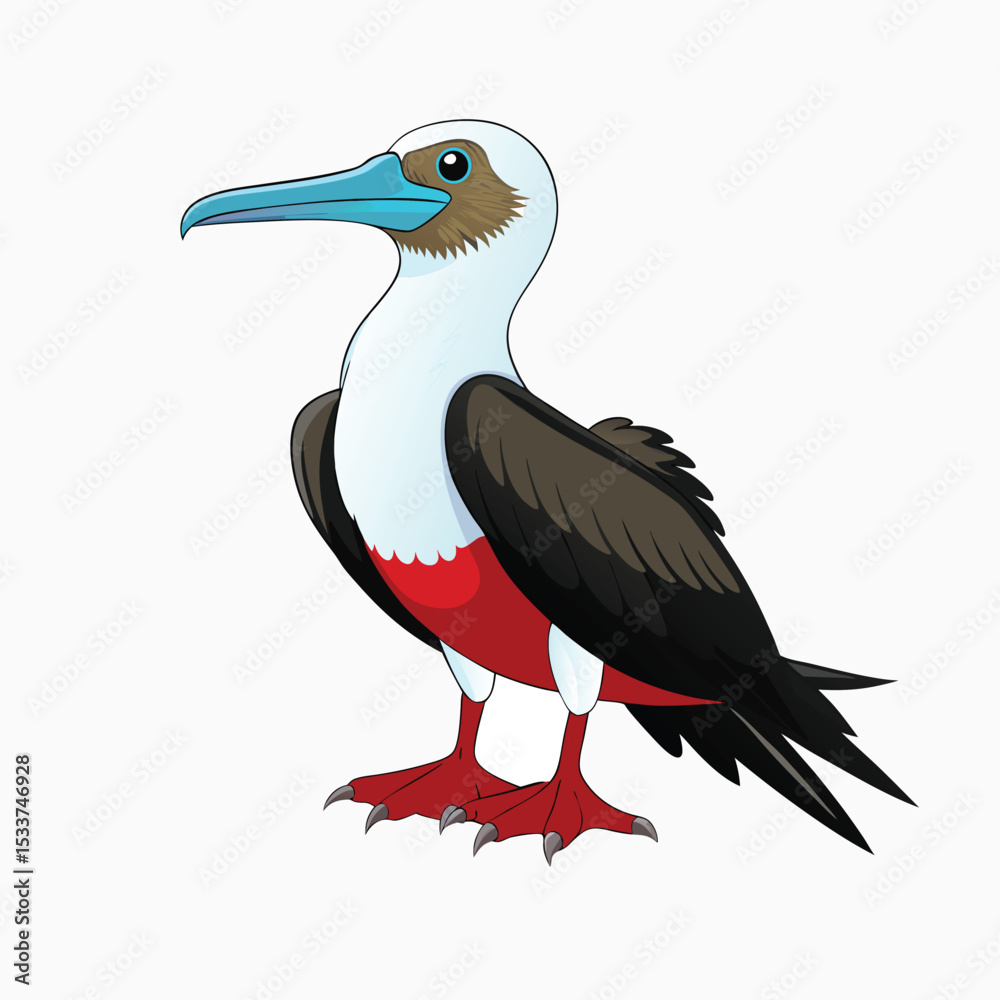 Obraz premium black crowned crane