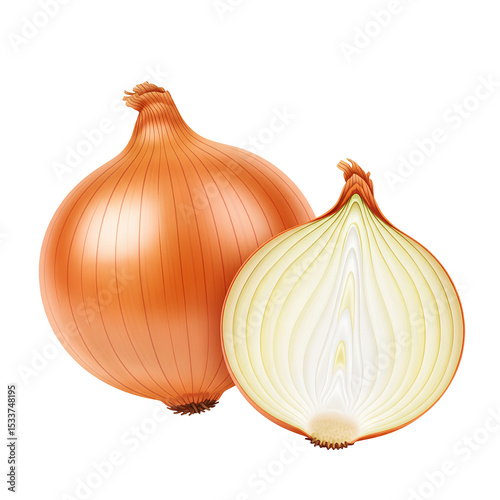 Wallpaper Mural Fresh Yellow Onion Vegetable Isolated Transparent PNG Image Torontodigital.ca