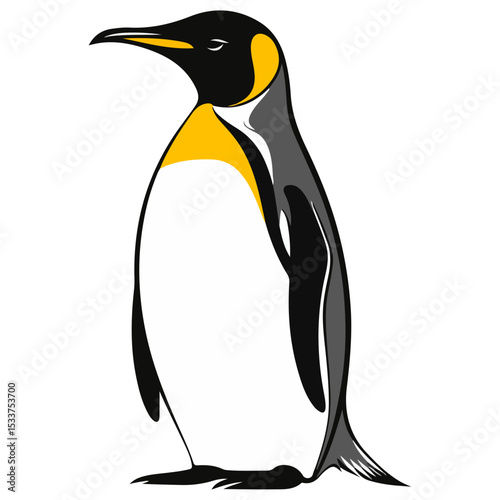 penguin, animal, vector, transparent background, creature, nature, wildlife, cute, isolated, antarctica, cold, polar