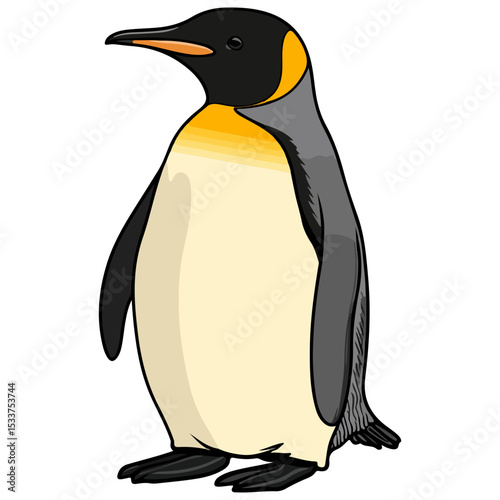 penguin, animal, vector, transparent background, creature, nature, wildlife, cute, isolated, antarctica, cold, polar