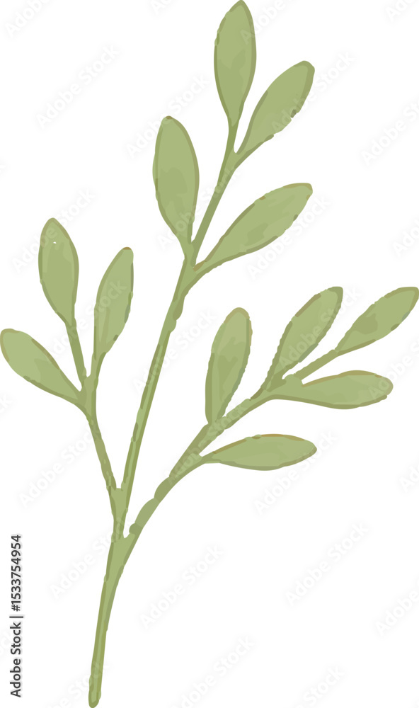 Fototapeta premium Fresh green leaves on stems, representing spring growth and vitality, great for botanical and nature-themed designs