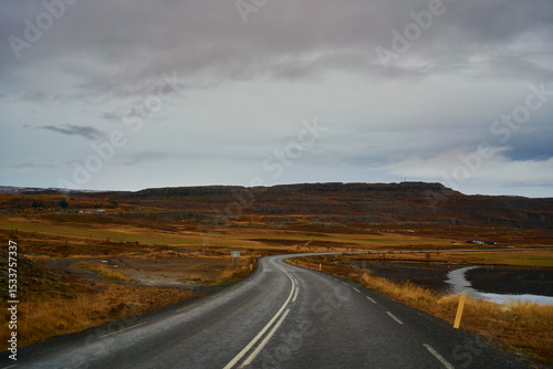 Beautiful straight road of the iceland with autumn trees on a cloudy day , Roadtrip for travel in iceland.