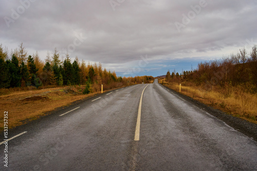Wanderful straight road of the iceland with autumn trees on a cloudy day , Roadtrip for travel in iceland.